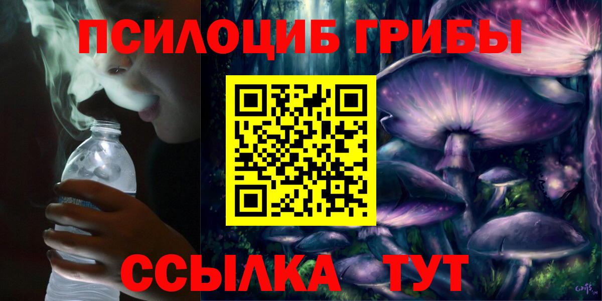 где купить   Галлюциногенные грибы Psilocybe  Вход с VPN  Белогорск 