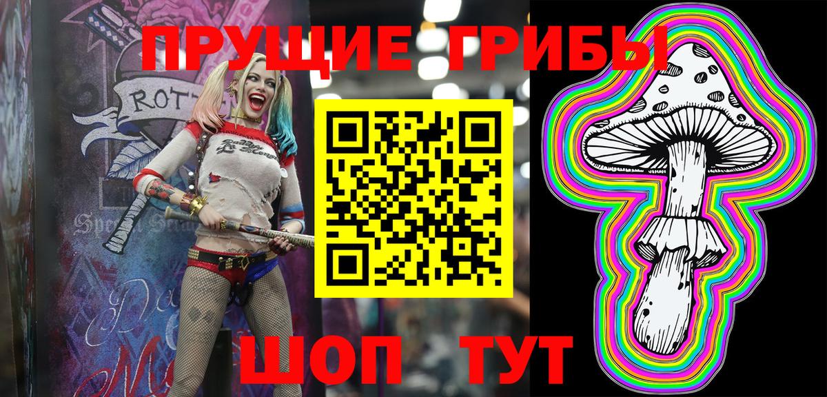 Галлюциногенные грибы Psilocybe Белогорск